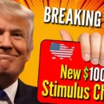 New $1000 Stimulus Checks in 2024: Know What the Reality Is!